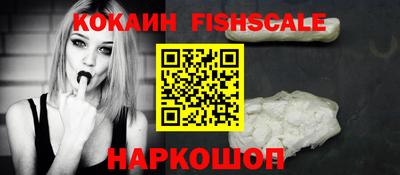 СК Новодвинск