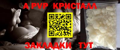 тгк Новозыбков