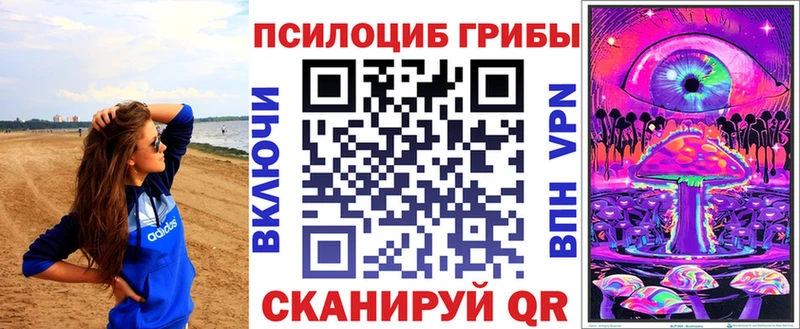 mega   где найти наркотики  Торжок  Галлюциногенные грибы Cubensis 